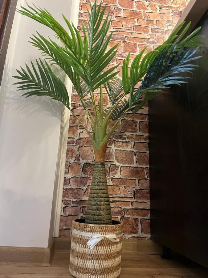 Wood Studio シナヤ エクステリア 写真